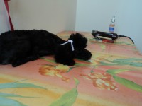 /album/fotos/de-todo-013-jpg/